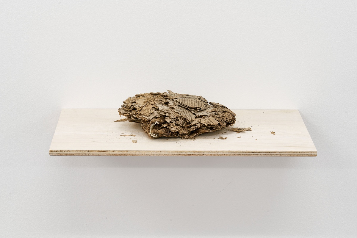 Installation photograph from the Papertrails exhibition in A4’s Reading Room. A wall-mounted wooden shelf features the remnants of a book found on a beach.
