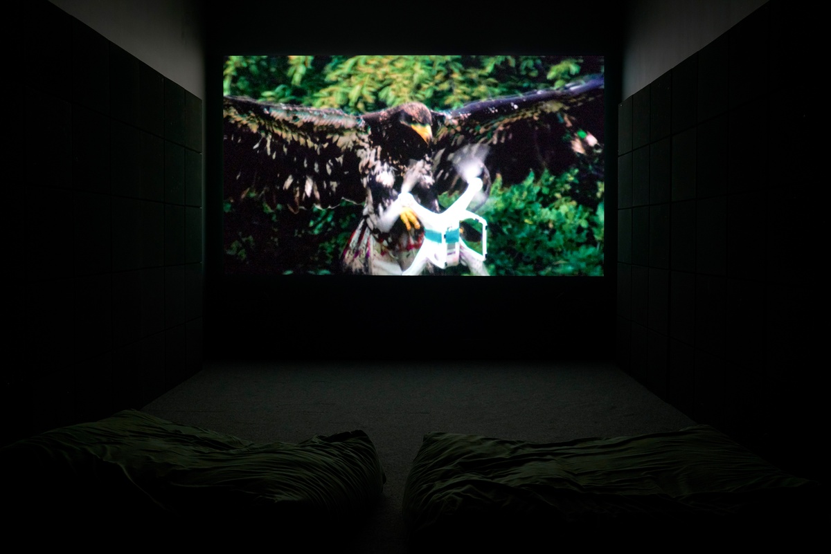 Installation photograph from the ‘Risk’ exhibition in A4’s Gallery. In the middle, Mircea Cantor’s video ‘Aquila Non Capit Muscas’ is projected onto the wall.
