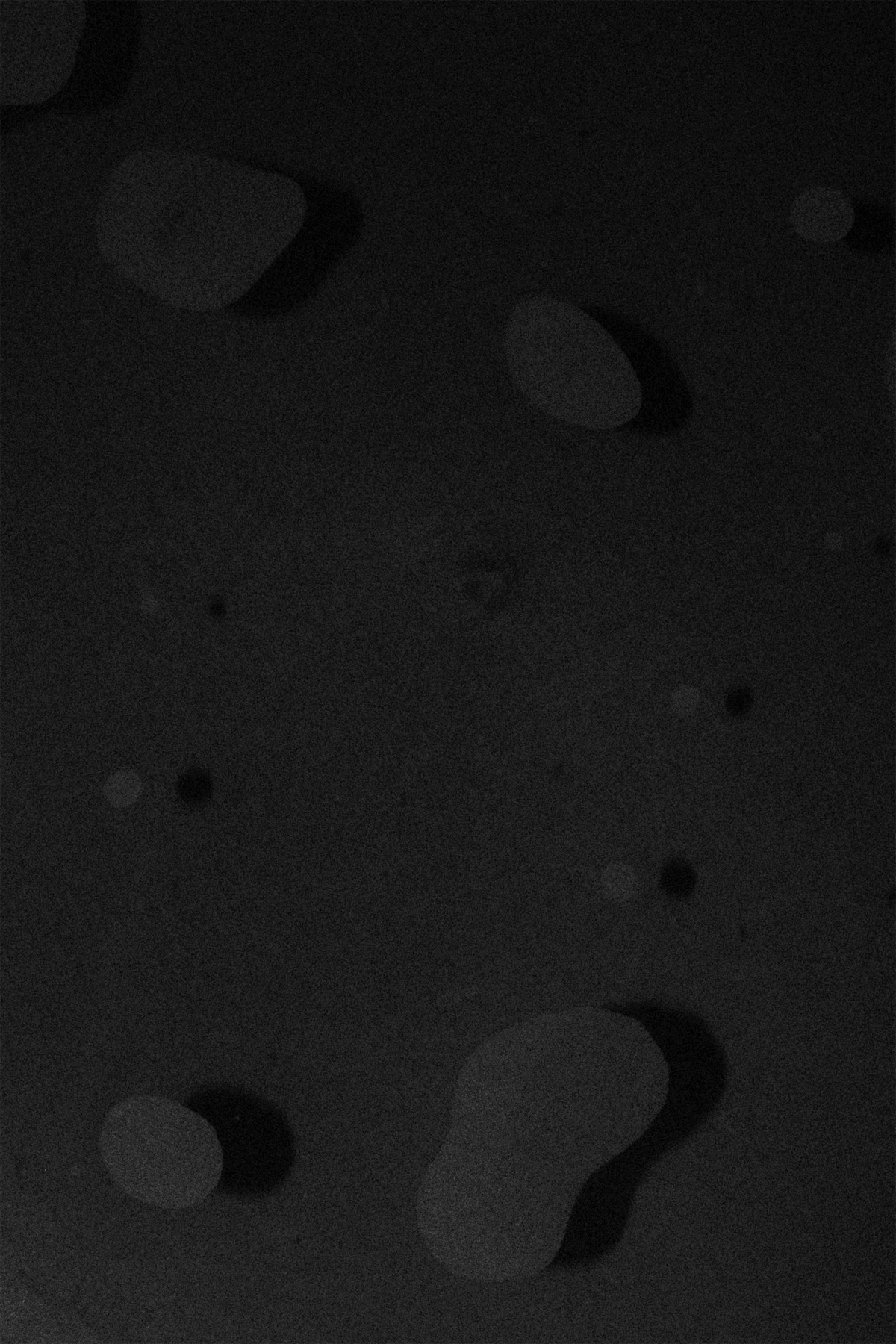 A monochrome photographic print from Thembinkosi Hlatshwayo’s series ‘wanders about’ that depicts liquid with bubbles on a black surface.
