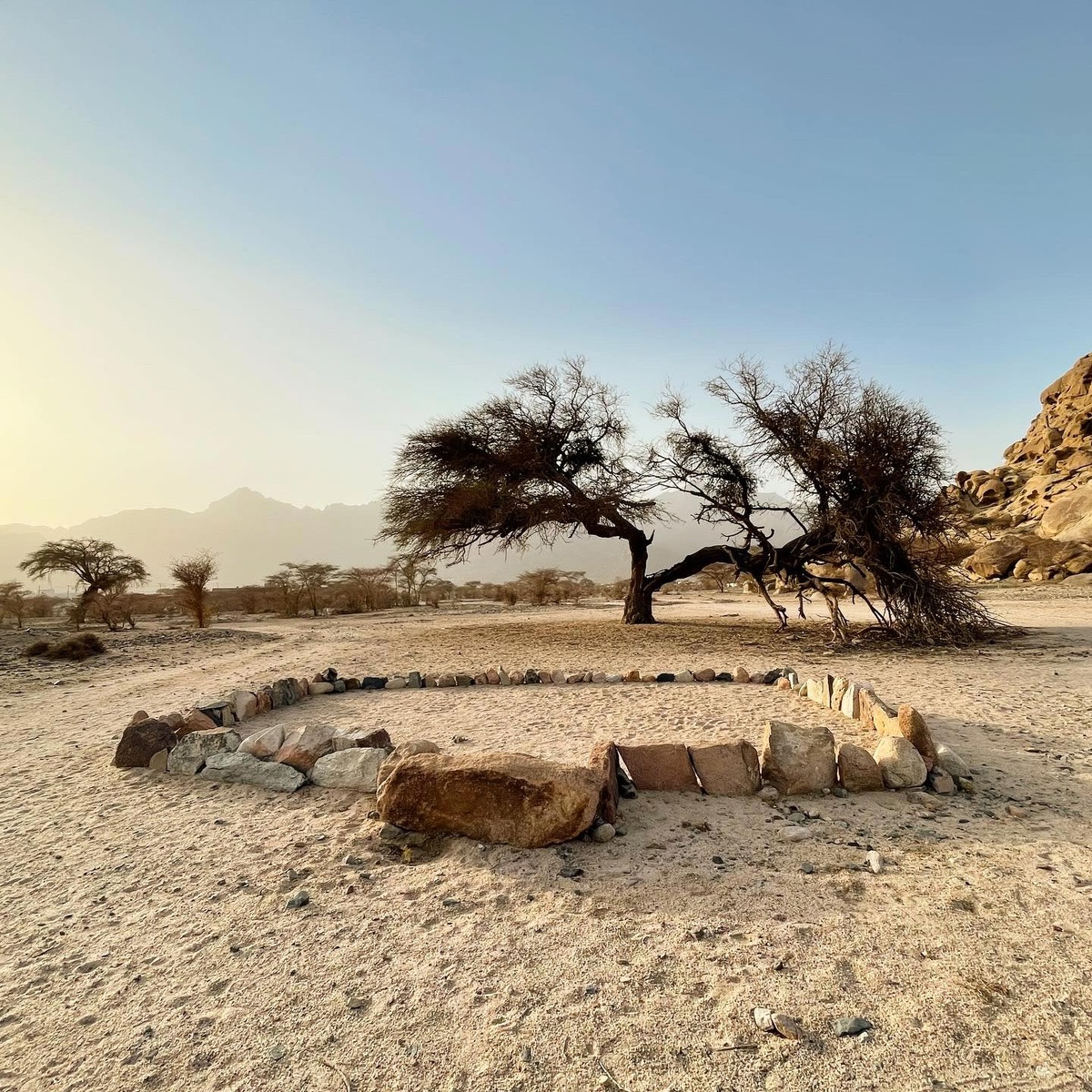 Process photograph from Waiting Upon, Sumayya Vally’s Course of Enquiry at A4, depicting a roadside mosque in Saudi Arabia. At the front, a rectangular shape laid out with rocks on the ground. In the back, a tree with two divergent branches.
