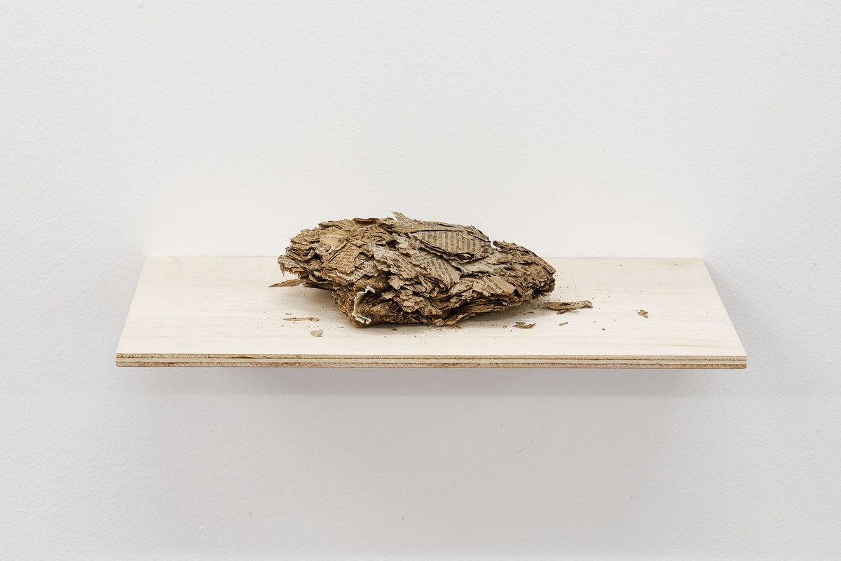 Installation photograph from the Papertrails exhibition in A4’s Reading Room. A wall-mounted wooden shelf features the remnants of a book found on a beach.
