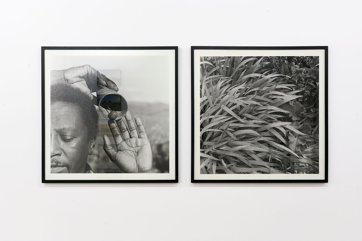 Artwork photograph that shows George Hallett’s framed monochrome photographic diptych ‘Peter Clarke’s Tongue’, from the Customs exhibition in A4’s Gallery, mounted on a white wall.
