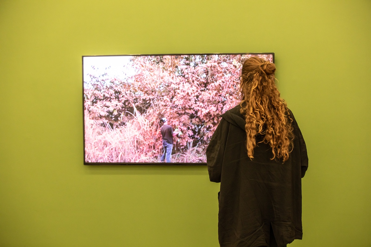 Event photograph from opening of the Customs exhibition in A4’s Gallery. An attendee views Kapwani Kiwanga’s video work ‘Vumbi’ on a screen mounted onto a green moveable gallery wall.
