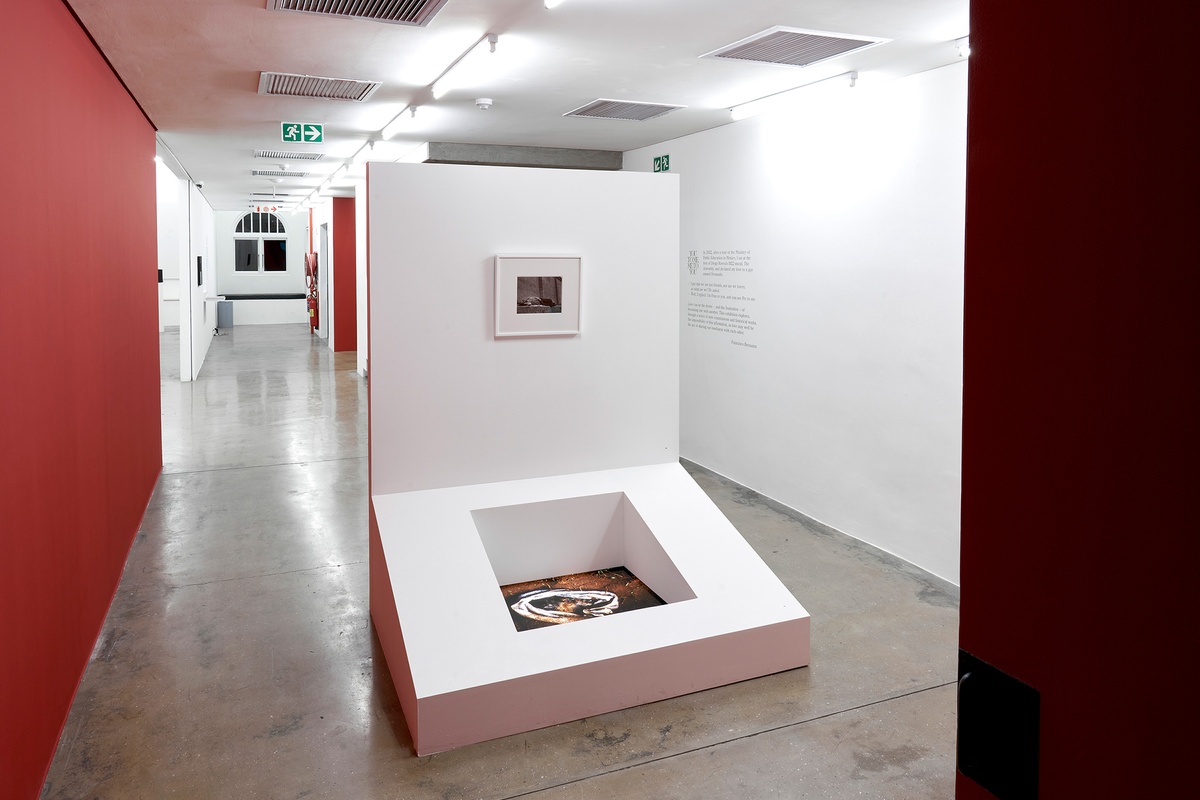 Installation photograph of the You to Me, Me to You exhibition that shows a white freestanding wall with a large slanting support attached to the base. At the top, Manuel Álvarez Bravo’s framed monochrome photograph ‘El Soñador’ is mounted on the wall. At the bottom, Jo Ractliffe’s perspex photographic print ‘Love’s Body’ is embedded in the base, perpendicular to the floor. On the right, the exhibition title and blurb are pasted onto the gallery wall in green vinyl.
