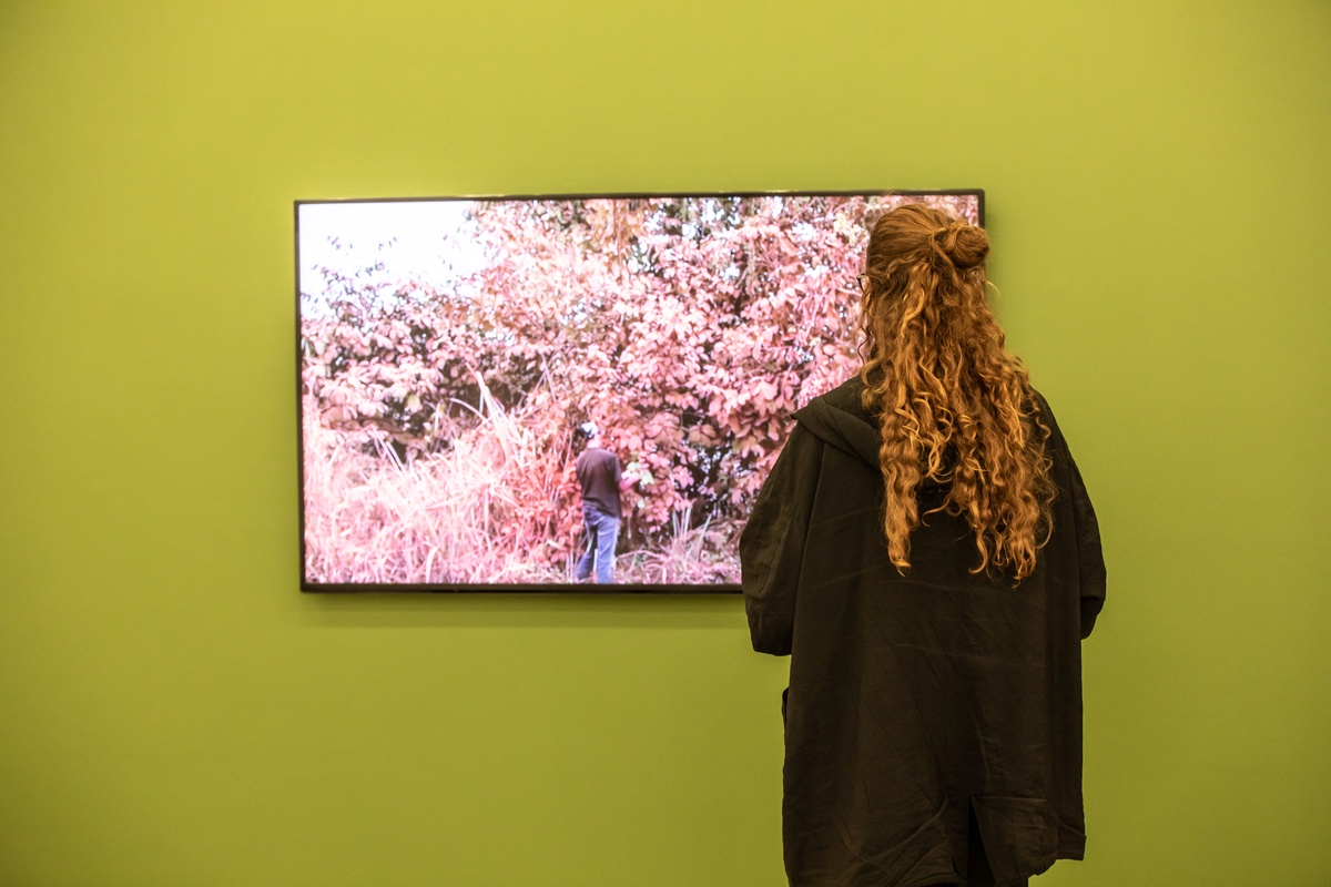 Event photograph from opening of the Customs exhibition in A4’s Gallery. An attendee views Kapwani Kiwanga’s video work ‘Vumbi’ on a screen mounted onto a green moveable gallery wall.
