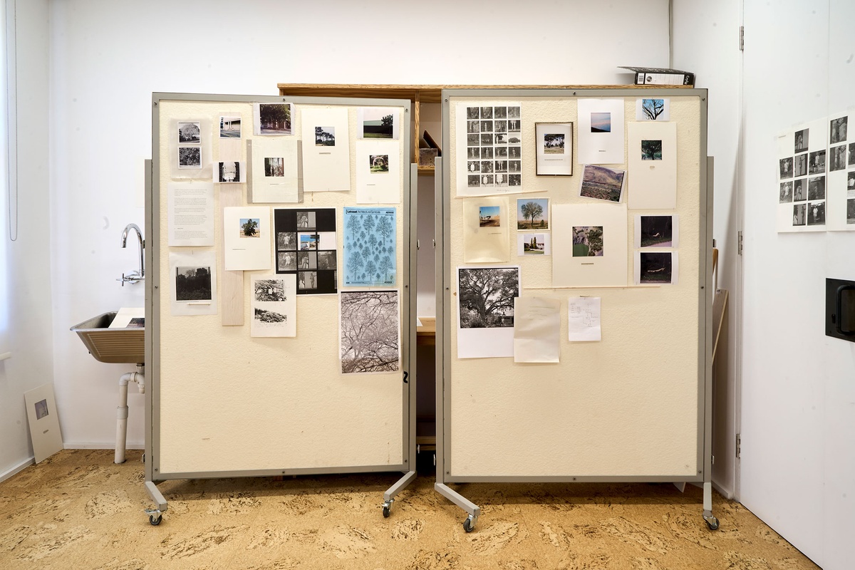 Installation photograph of Michael Tymbios’ studio during his residency in A4 Arts Foundation. In the middle, two freestanding pinboards feature multiple text printouts and photographic prints.
