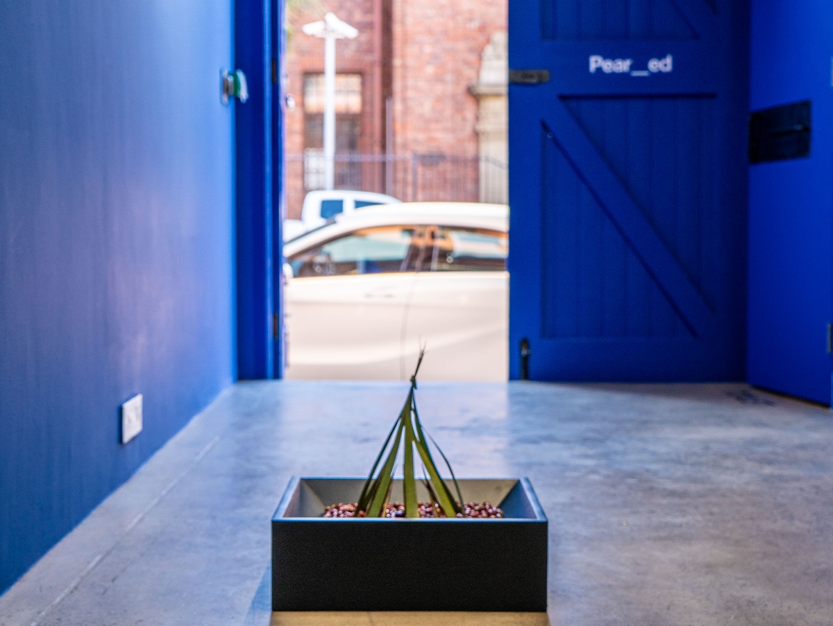 Installation photograph from Pear\_\_ed's 'Hypothesis 1' in A4 Arts Foundation's Goods space. In the middle, a square blue box with plant matter arranged inside of it sits on the concrete floor.
