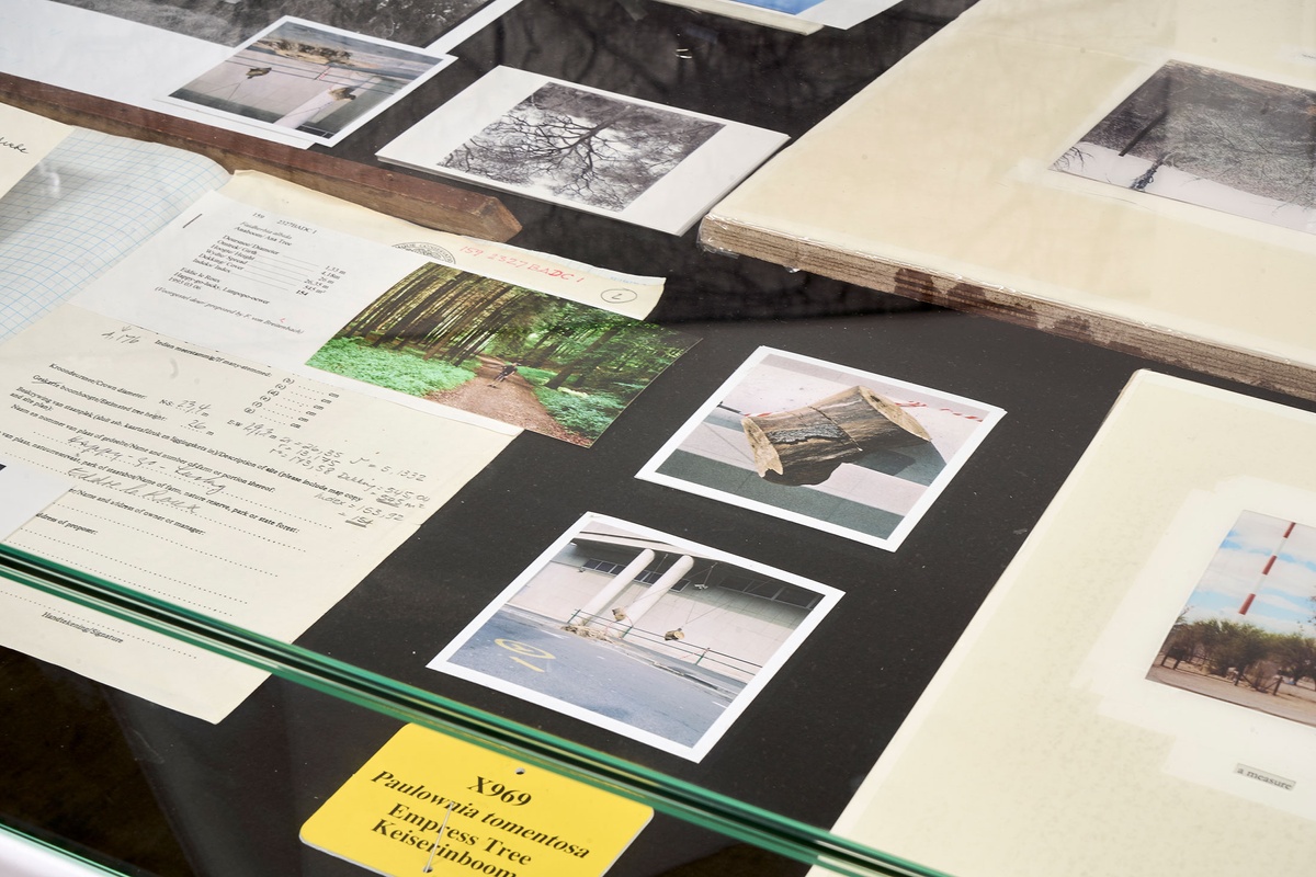 Installation photograph of Michael Tymbios’ studio during his residency in A4 Arts Foundation. A closeup view of a freestanding display case that holds photographs and ephemera.
