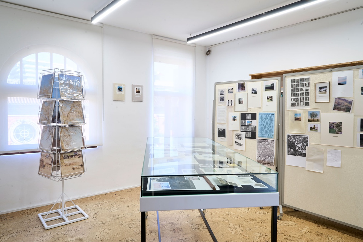 Installation photograph of Michael Tymbios’ studio during his residency in A4 Arts Foundation. On the left, a freestanding rotating record display stand holds photographic prints. In the middle, a freestanding display case holds photographs and ephemera. On the right, photographic prints and ephemera are pinned to two freestanding pinboards.
