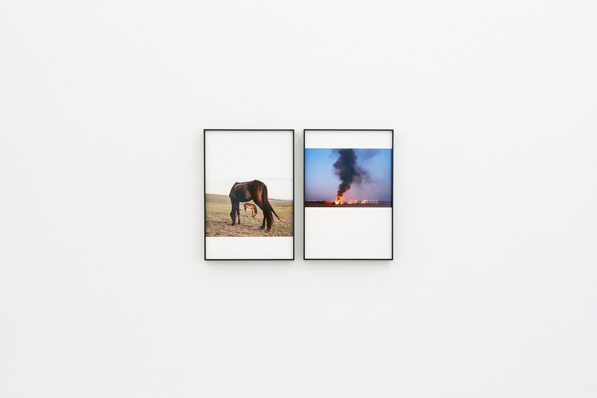 Installation photograph from the ‘Tell it to the Mountains’ exhibition in A4’s Gallery. Two framed photographs by Lindokuhle Sobekwa mounted side by side on the white gallery wall. On the left is ‘Bhayi alembathwa Iembatha ngabalaziyo,’ on the right is ‘Veld fire.’

