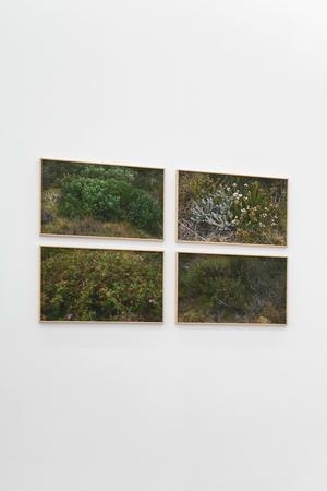 An installation photograph of Kevin Beasley's photographic series 'Luyolo' mounted on a white wall in a grid formation.
