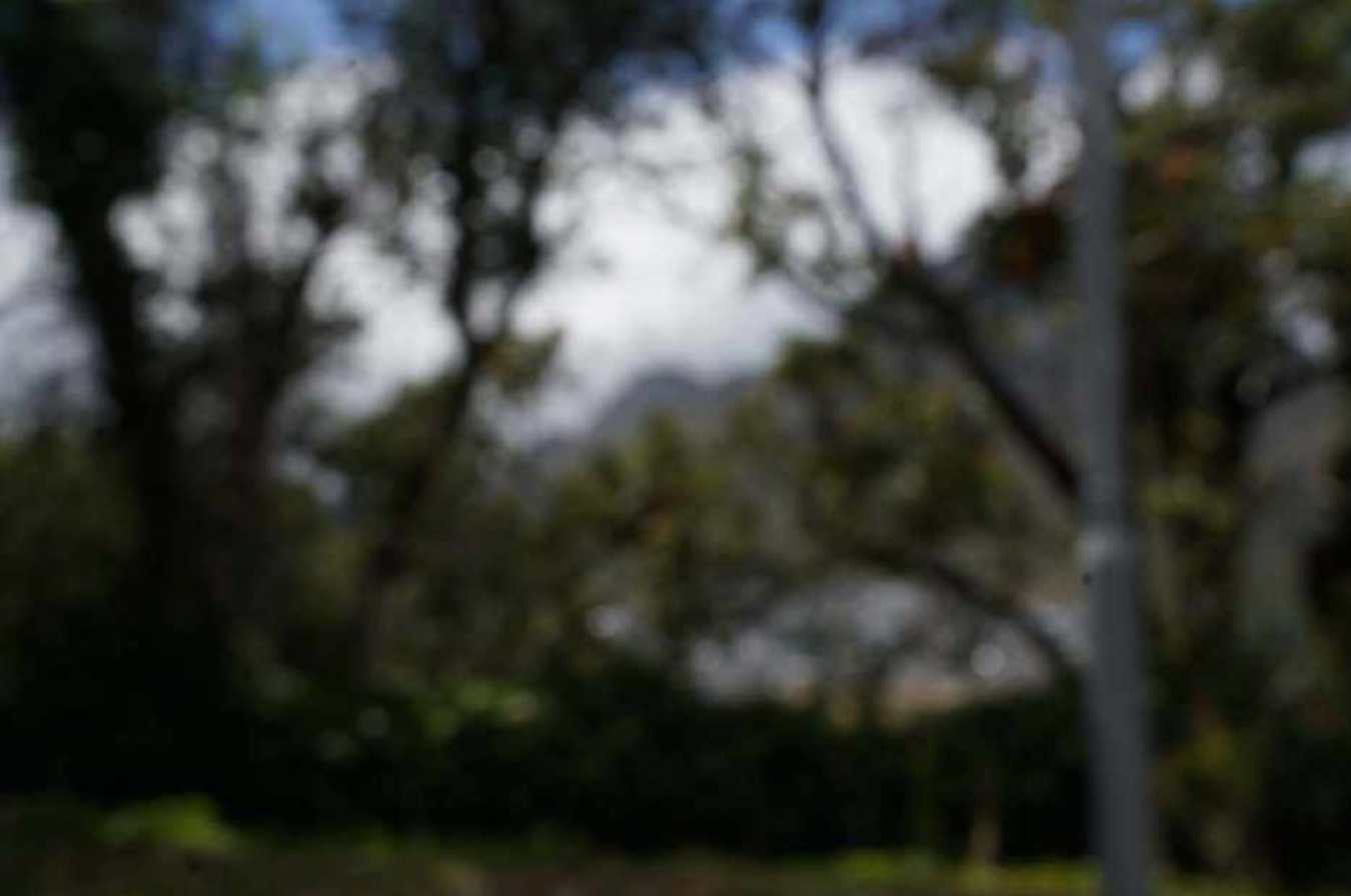 Kevin Beasley's untitled photographic print shows a blurry view of a landscape through trees.
