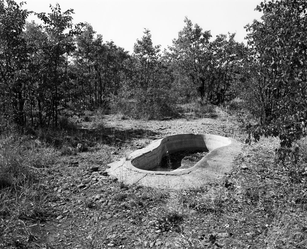 Jo Ractliffe's monochrome photographic print 'Decommissioned military base, Kruger National Park' depicts an empty swimming pool surrounded by trees.
