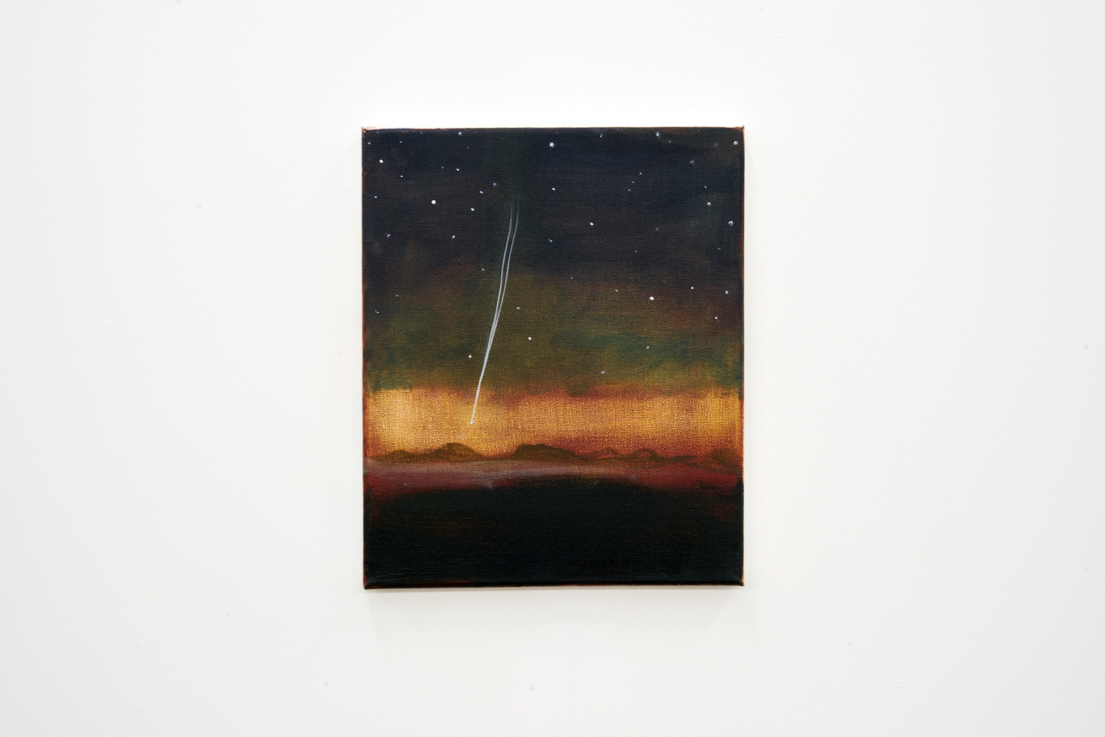 Installation photograph that shows Dexter Dalwood’s oil painting ‘Francisco Fernando’ mounted on a white wall.
