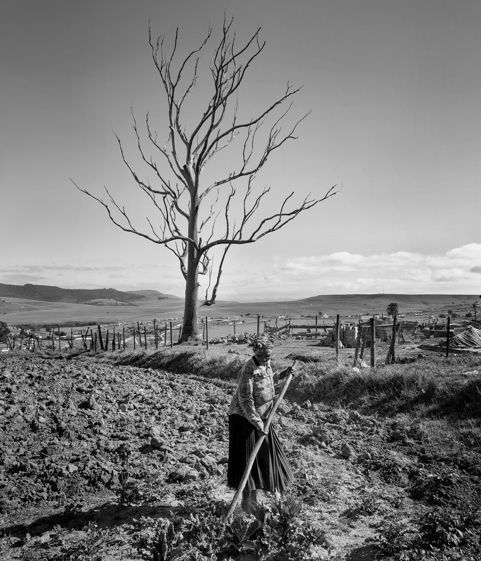 Lindokuhle Sobekwa's monochrome photograph 'Makhulu ehlakula egadini' shows an individual weeding a section of previously tilled earth.
