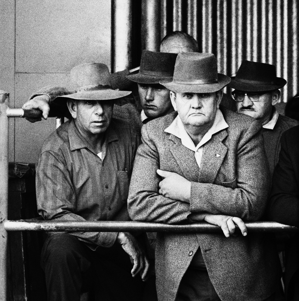 David Goldblatt's monochrome photograph 'Farmers at a cattle auction, Vryburg, Cape Province' shows a small group of standing individuals surrounded by stockades.
