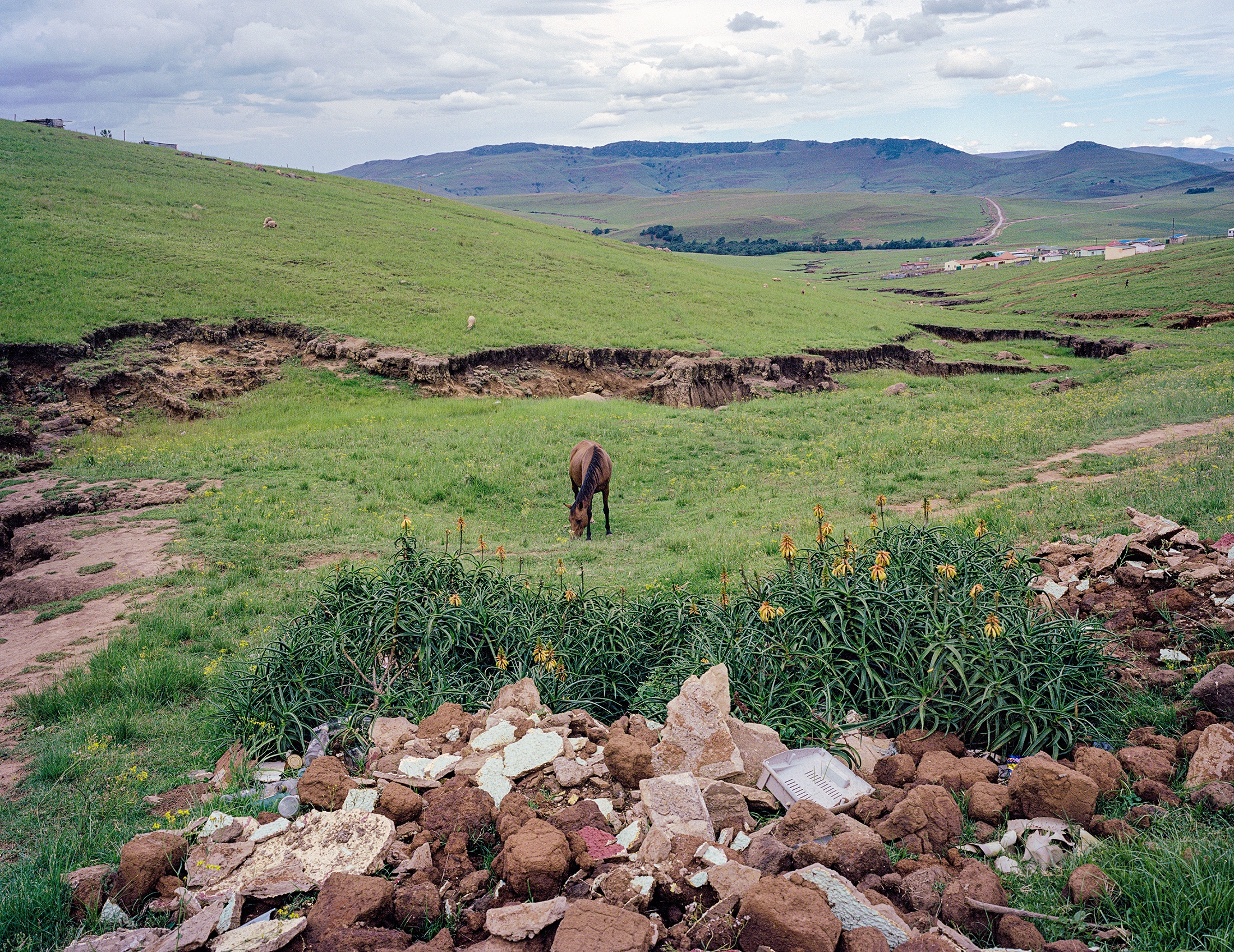 Lindokuhle Sobekwa's photograph 'eMtyamde' shows a horse eating grass in a plain, with pile of stones at the front.

